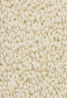 Shag Rugs